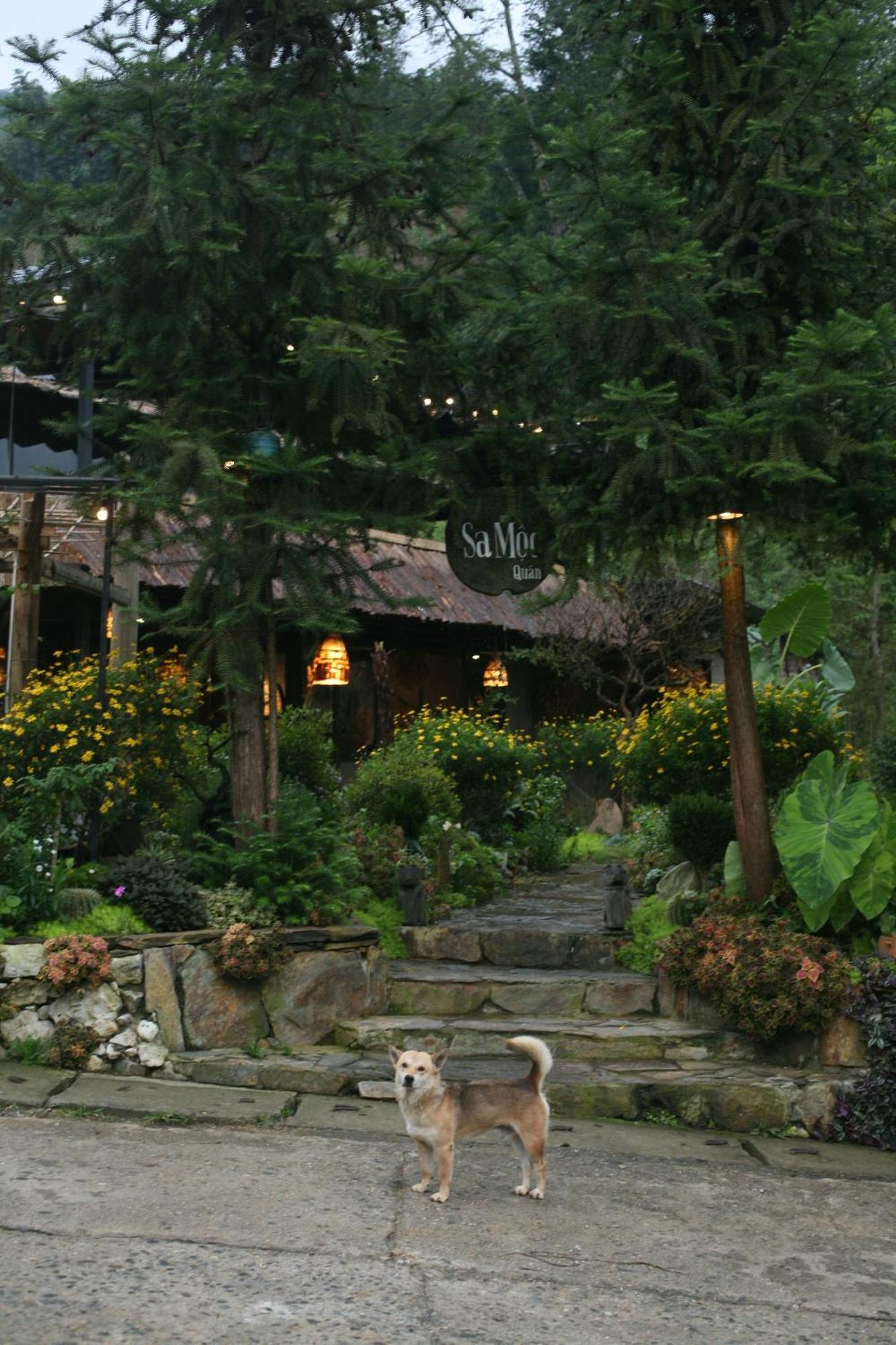 La Maison -